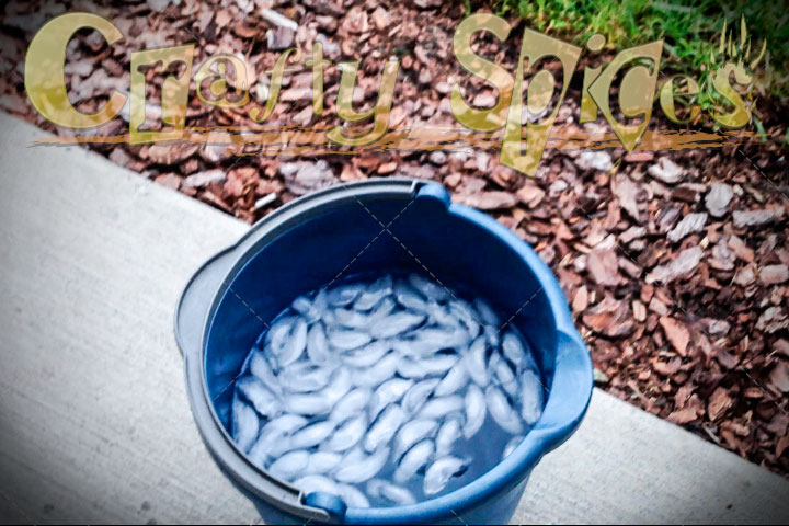 ALS Ice Bucket Challenge