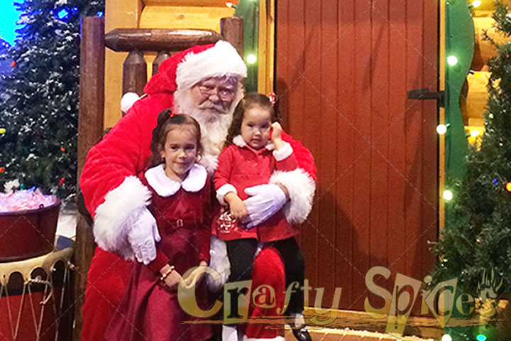 The Girls with Santa Claus
