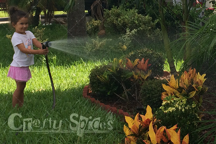 3year old watering the plants