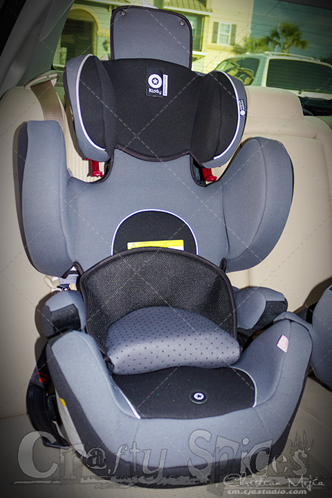 The Kiddy World Plus Car Seat The Kiddy World Plus Car Seat