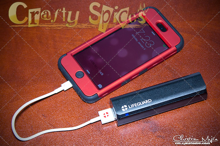 +LIFEGUARD MINI 1 Portable Charger