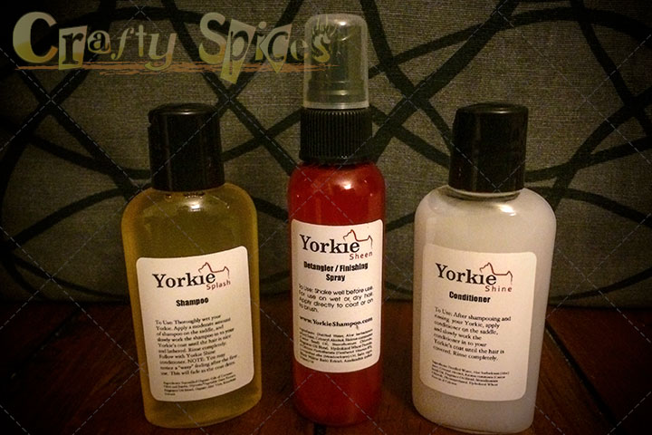 Yorkie Splash & Shine