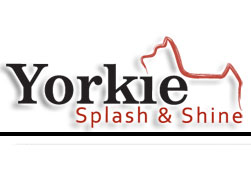Yorkie Splash & Shine