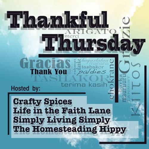 mt_ignore:Thankful Thursday