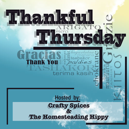 mt_ignore:Thankful Thursday