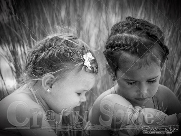 Beautiful Friends Forever