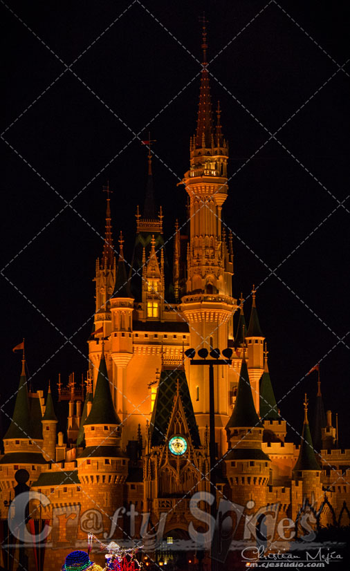 Kira is excited Walt Disney World, Cinderella Castle in Orange
