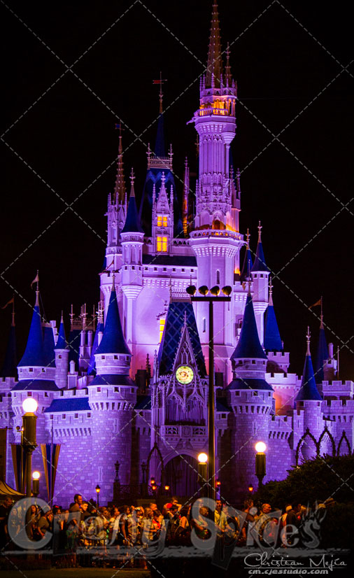 Walt Disney World, Cinderella Castle in Purple Walt Disney World, Cinderella Castle in Purple
