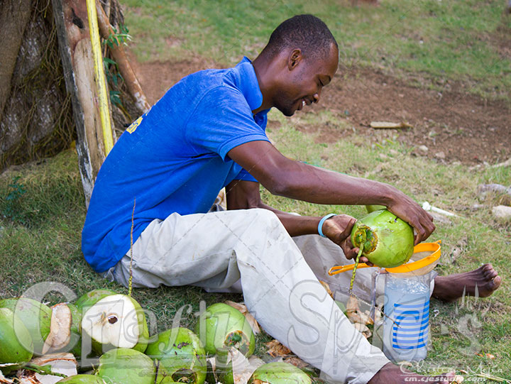 A friend helping us get Coconut water and meat A friend helping us get Coconut water and meat