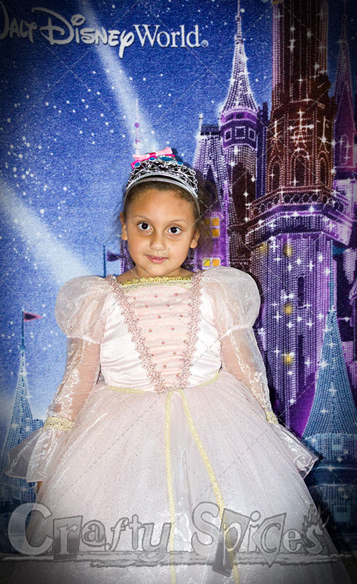 Another Princess Joined the Party