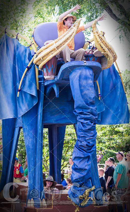 One of the parades at Animal Kingdom One of the parades at Animal Kingdom
