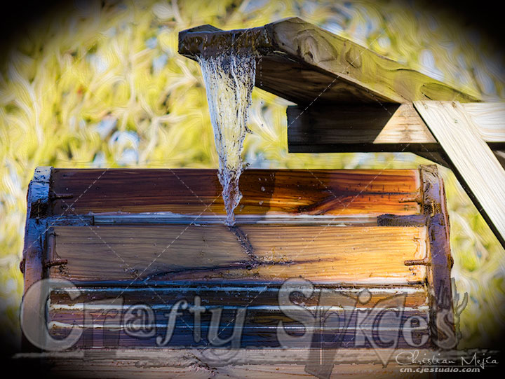 Rapid waters yet stil at a time Rapid waters yet stil at a time