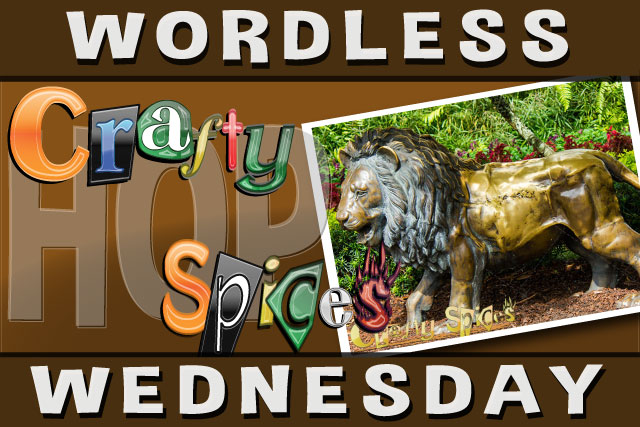 Wordless Wednesday Hop!