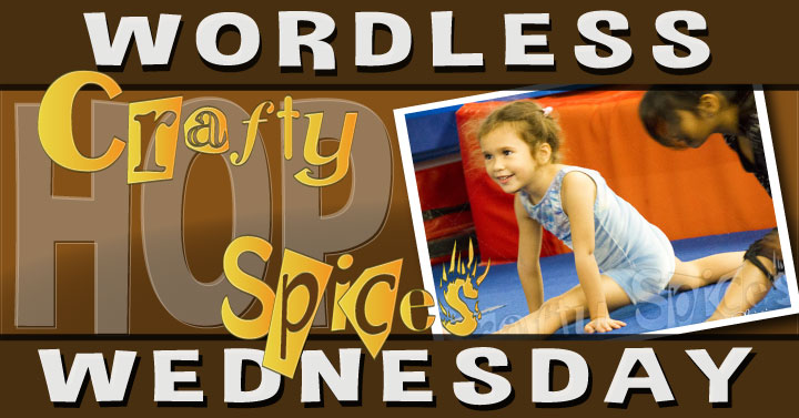 Wordless Wednesday Hop!