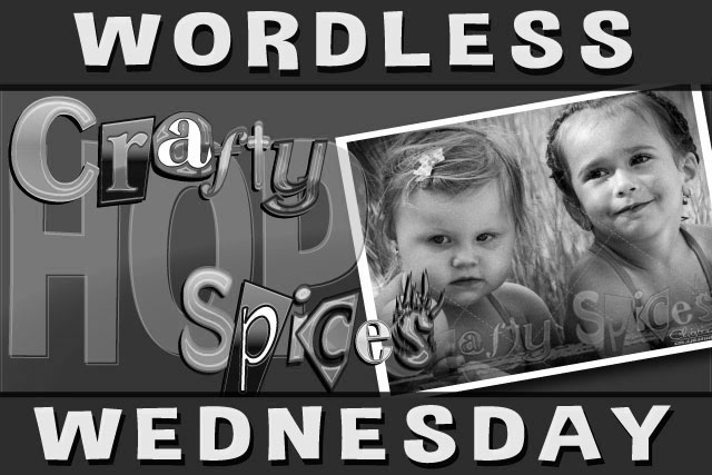 Wordless Wednesday Hop! Wordless Wednesday Hop!