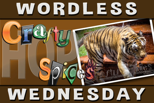 Wordless Wednesday Hop! Wordless Wednesday Hop!