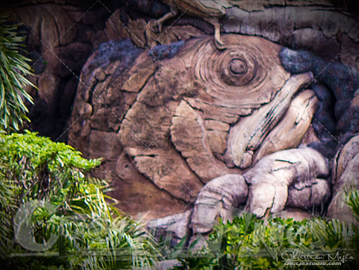 Tree of life - Fish Tree of life - Fish