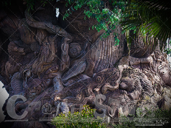 Tree of life! Tree of life!