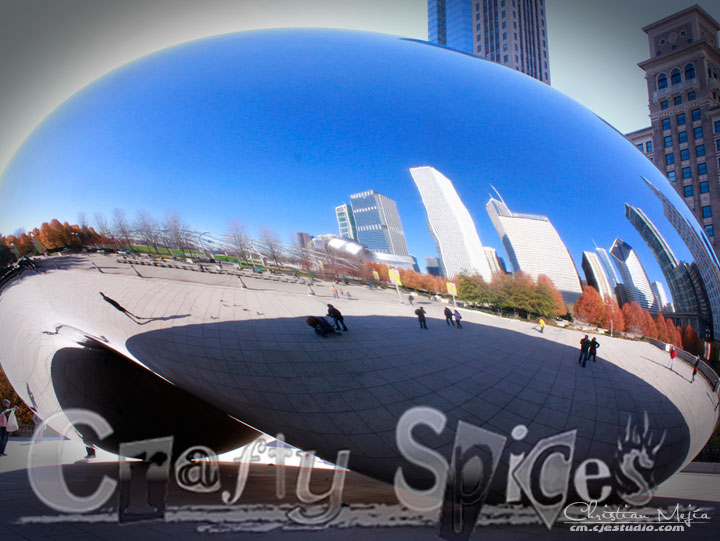 Distorted Reality via the Bean Distorted Reality via the Bean