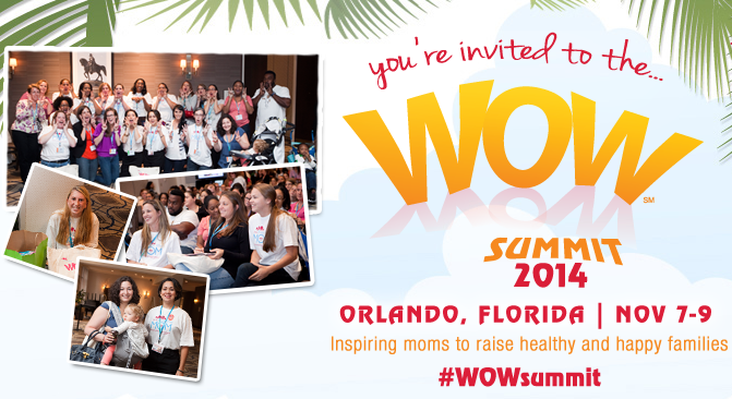 WoW Summit 2014 Event